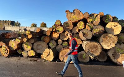 Haarlemse houtketen als circulair voorbeeld
